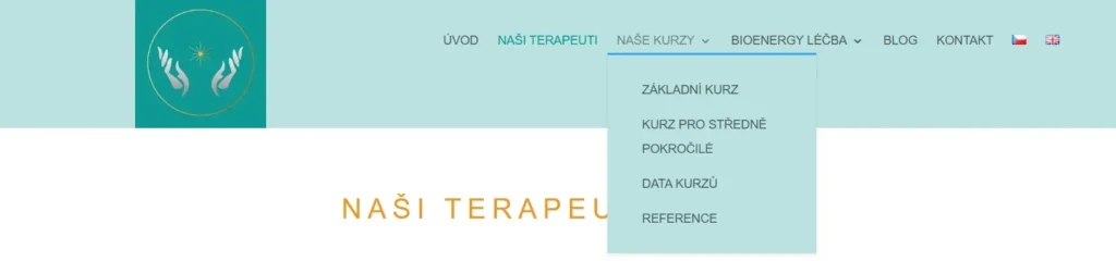 Web pro Bioenergetickou léčbu 5